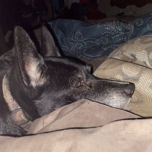 Meet your Posher, Catherine